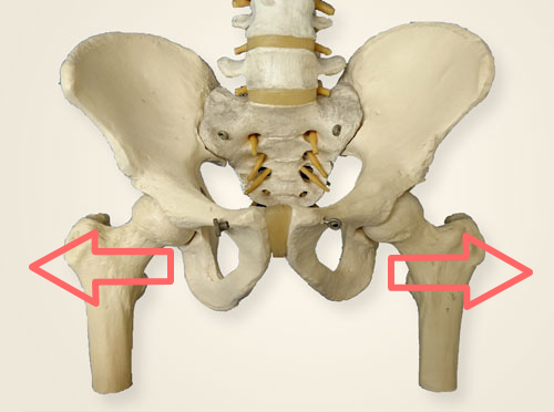 骨盤写真下側が広がる