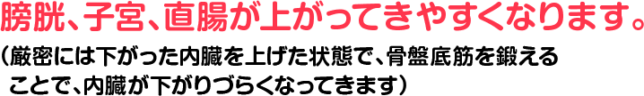膀胱、子宮、直腸が上がってきやすくなります。