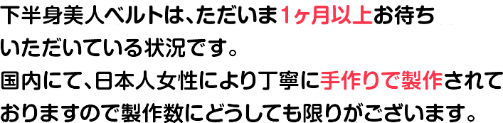 下半身美人骨盤ベルトは、ただいま1ヶ月以上お待ちいただいている状況です。国内にて、日本人女性により丁寧に手作りで製作されておりますので製作数にどうしても限りがございます。