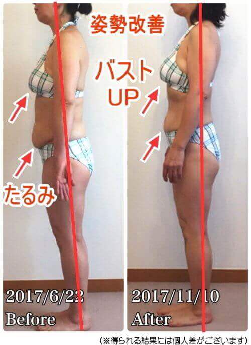 横側からの写真